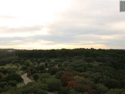 Da qui riusciamo ad avere una visuale complessiva del bosco...